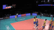 Power Serve GIF by Volleyball World