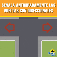 consejos GIF by traficozmg