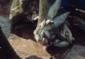 Sante Multitude GIF by Stromae