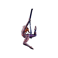 Circus Trapeze Sticker by Ringling Bros. and Barnum & Bailey