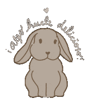 Ollieylili Comunidadconejeril Conejo Conejito Conejos Conejitos Sticker