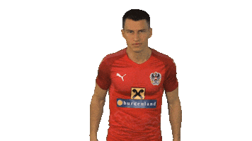 Team Austria Sticker by ÖFB