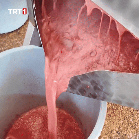 Cringe Omg GIF by TRT