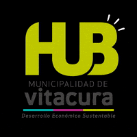 hub_vitacura line verde hub lineas GIF