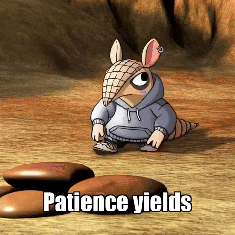 Wisdom Patience GIF by Chillo Dillo
