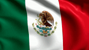 Fiestas Patrias Grito GIF
