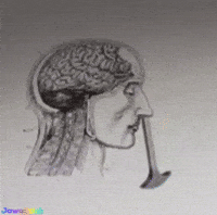 Head Brain GIF