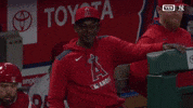 Los Angeles Angels Sport GIF by MLB