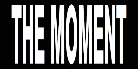 Charli Xcx Brat GIF by A24