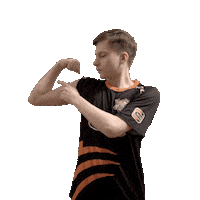 Twitch Dota Sticker by Virtus.pro
