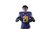 Ncaa Football Go Bears Sticker by Cal Athletics