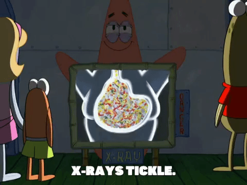 season 8 restraining spongebob GIF by SpongeBob SquarePants