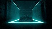 Formula 1 Sport GIF by Mercedes-AMG Petronas Formula One Team