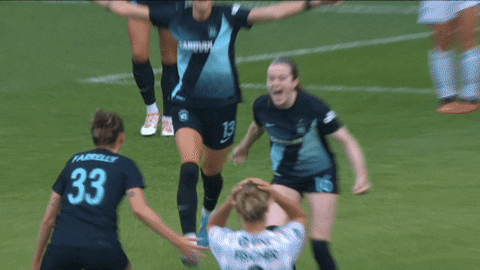 Womens Soccer Hug GIF by National Women's Soccer League