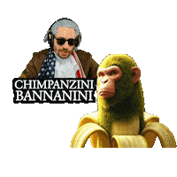 Chimp Monkey Banana Sticker