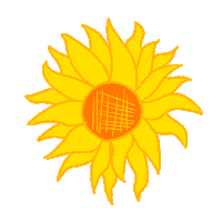 Flower Sun Sticker by Sukrin