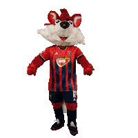 molfehervarfcgif fox vidi roka szekesfehervar Sticker
