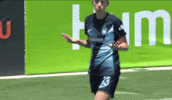 Celebrate New York GIF by National Women's Soccer League