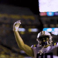 Bring It On Football GIF by LSU Tigers