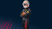 Ver Red Bull GIF by Red Bull Racing Honda