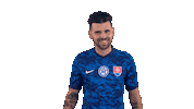 Celebration Goal Sticker by Slovensky futbalovy zvaz
