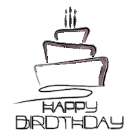 Birthday Parabens Sticker
