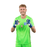 FCBlauWeissLinz bwl schmid blauweißlinz Sticker