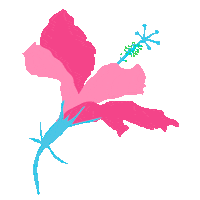 Pink Flower Sticker by Leticia Maximo