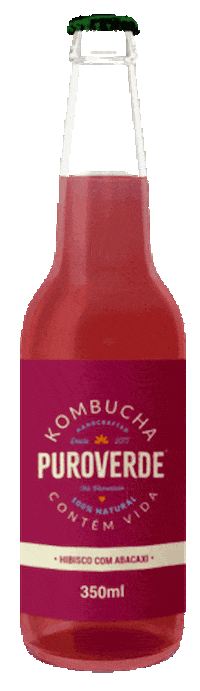 Vida Kombucha Sticker by Gus