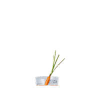 ArcticBlueBeverages cocktail gin gt gintonic Sticker