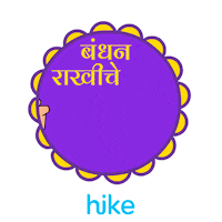 Raksha Bandhan Festival Sticker by Hike Sticker Chat