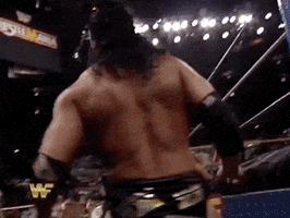 Scott Hall Sport GIF by WWE