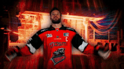 Ice Hockey Sheffield GIF