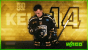 Ice Hockey Panthers GIF