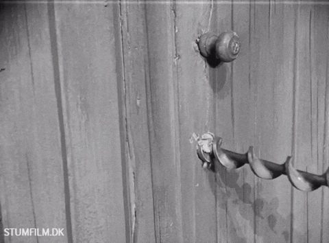 Fun Wtf GIF by Det Danske Filminstitut