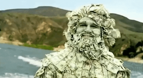 Shiba GIF by SHIBABETS.GG