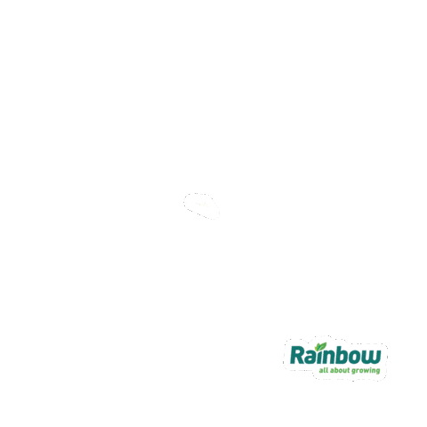 Rainbow Sticker by rainbowagrobrasil