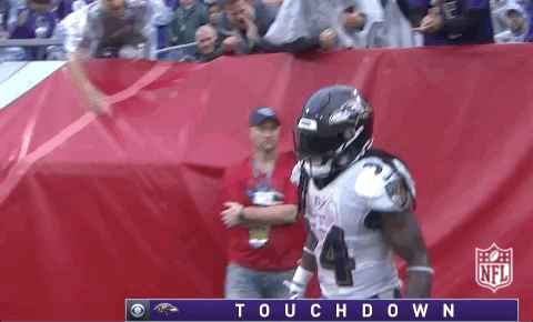 2018 Nfl Football GIF by NFL