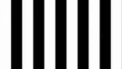Celebration Goal GIF by SK Sturm Graz
