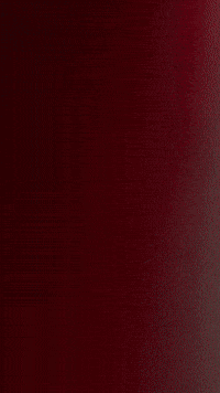 Plushie Hazbinhotel GIF by Youtooz