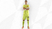 Football No GIF by SK Slavia Praha