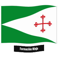Bandera Sevilla Sticker by Formación Ninja