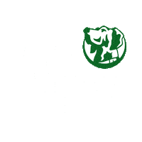 Palm Tree Beer Sticker by Cerveza Tropical