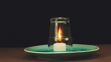 cool science GIF by Diply