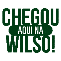 Wilsodistribuidor Sticker by Wilso Atacado
