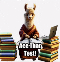 Education Study GIF by dalaillamazen