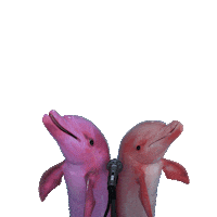 Under The Sea Singing Sticker by Domino Recording Co.