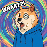 Shiba Inu Omg GIF by Doge Pound