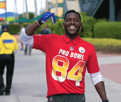 Pittsburgh Steelers GIF by NFL