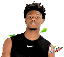 Atlanta Hawks Nba Sticker by Mountain Dew